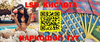 стафф Лесосибирск