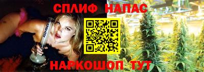 прущие грибы Ликино-Дулёво